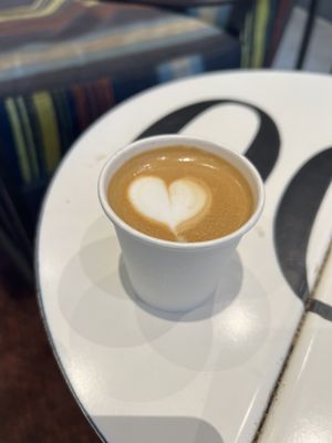 AvaBrew by Oren's Coffee by null