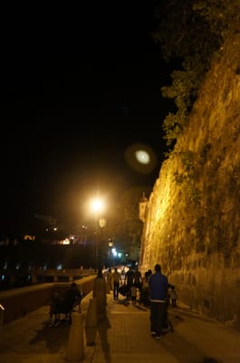 Paseo de la Princesa by null