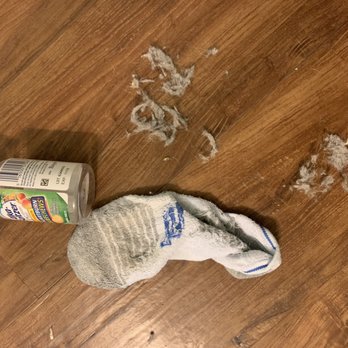 Sea Star Realty - Debris under bed in master bedroom - Vacation Rentals Near Me - Murrells Inlet, South Carolina