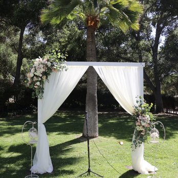 Alpha Floral - Florists Near Me - Santa Barbara, California