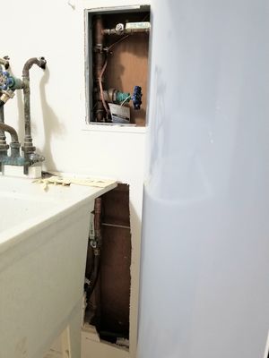 Wild Water Plumbing Logo