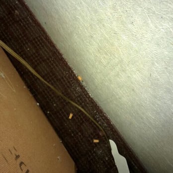 Envi Boutique Hotel - Cigarette butts behind nightstand - Hotels Near Me - Henderson, Kentucky Envi Boutique Hotel - Cigarette butts behind nightstand - Hotels Near Me - Henderson, Kentucky