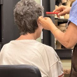 Wigs Amor Scottsdale - Half Wig