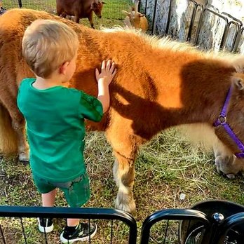 Noe Worries Ranch - Attraction Farms Near Me - Zephyrhills, Florida Noe Worries Ranch - Attraction Farms Near Me - Zephyrhills, Florida