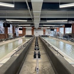 The Foundry