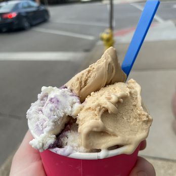 Golden Gelato - Gelato Near Me - Covington, Kentucky Golden Gelato - Gelato Near Me - Covington, Kentucky