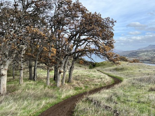 Coyote Wall Trailhead by null