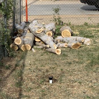 Kelley Tree - Tree Services Near Me - Palmdale, California