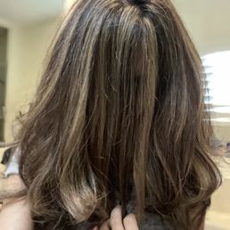 Highlights