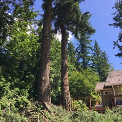 Rich Ternan Tree Service