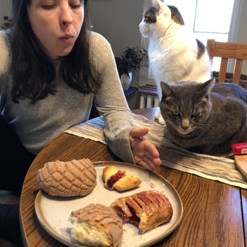 Exquisite Cake Bakery - Even the cats enjoyed them - Bakeries Near Me - Saint Paul, Minnesota