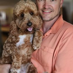 Nauti pets - Afro on Baxter that was corrected
