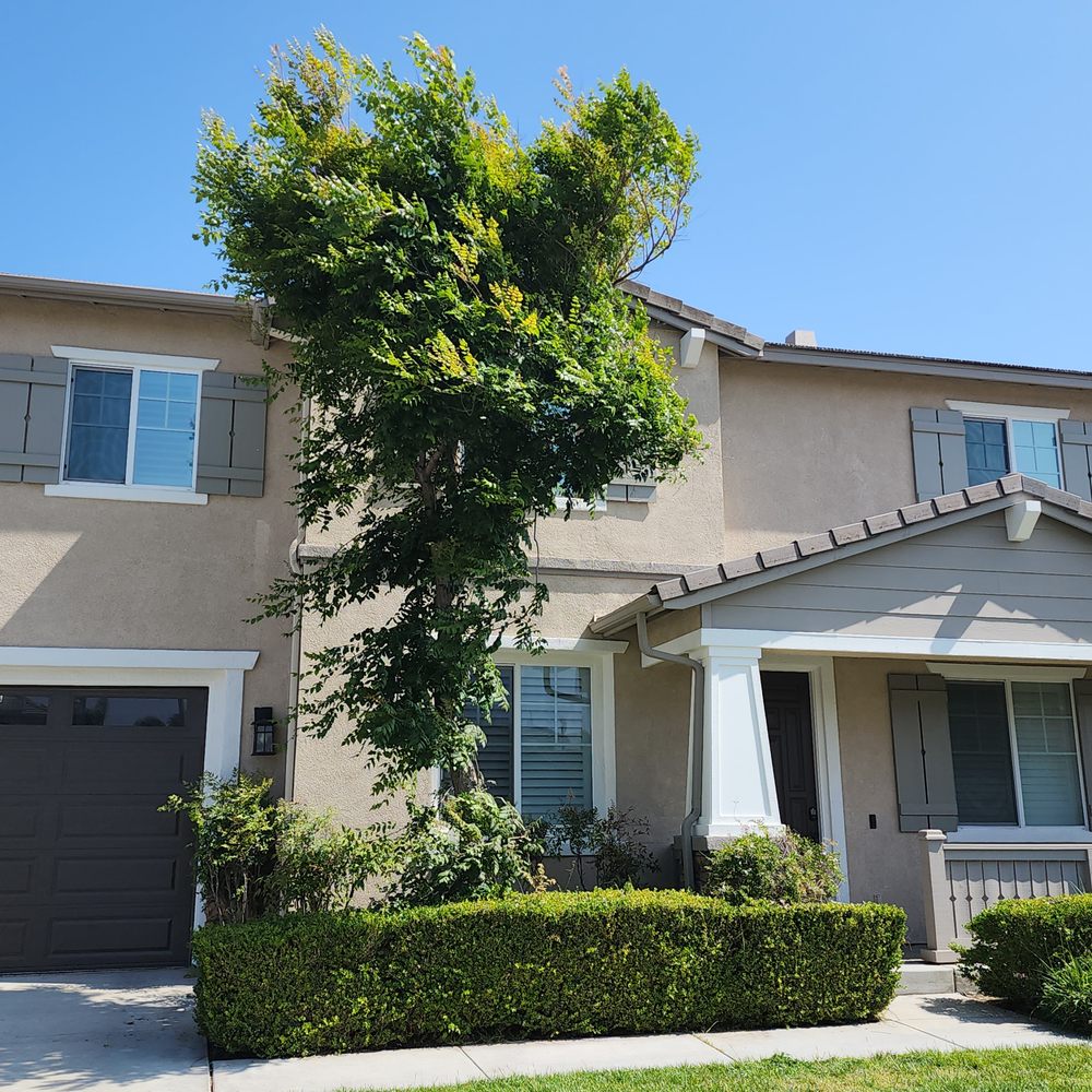 Amore Painting - Looking crisp! - Painters Near Me - Riverside, California Amore Painting - Looking crisp! - Painters Near Me - Riverside, California