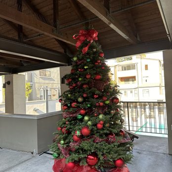 Northwood Christmas Trees - Apartment complex midtown Sacramento - Christmas Trees Near Me - Fair Oaks, California
