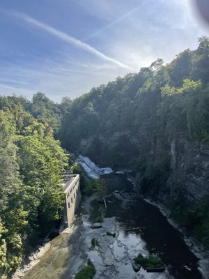 Cornell University by null