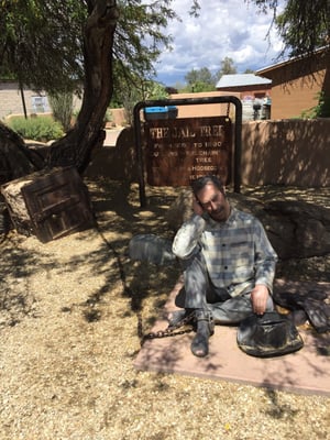 The Jail Tree by null