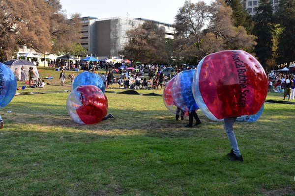 Mosswood Park by null