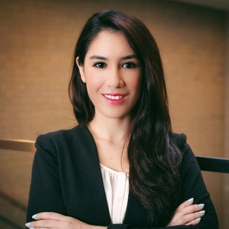 Law Office of Mina Amiry - immigration attorney in Houston, TX