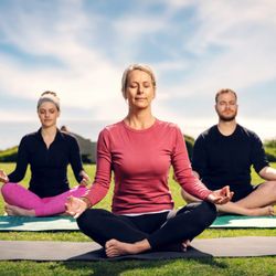 Monarch Shores - Yoga by the beach