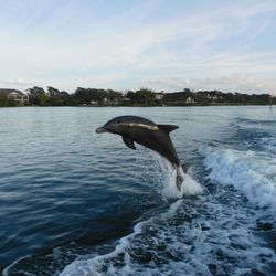 Suncoast Adventure Tours and Charters