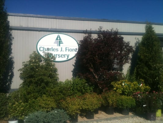 FIORE NURSERY AND LANDSCAPE SUPPLY - 2901 W Ferdinand St, Chicago