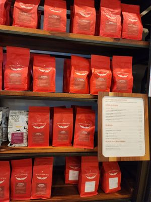 Intelligentsia by null