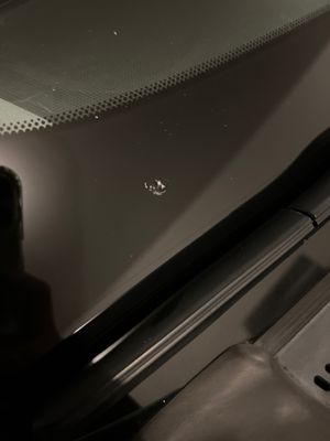 Fabulous Freddy’s by null