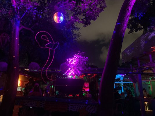 The Dirty Rabbit Wynwood by null