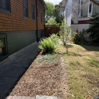 Responsive Hauling - The gentlemen at Responsive Hauling left my side yard so clean and tidy! Thank you! - Junk Removal & Hauling Near Me - Hayward, California Responsive Hauling - The gentlemen at Responsive Hauling left my side yard so clean and tidy! Thank you! - Junk Removal & Hauling Near Me - Hayward, California