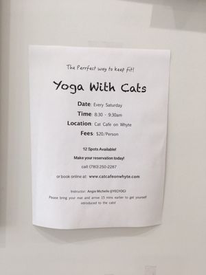 Menu photo 4 Cat Cafe on Whyte Edmonton, AB
