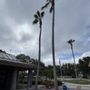 Photo of I-4 Eastbound Rest Area