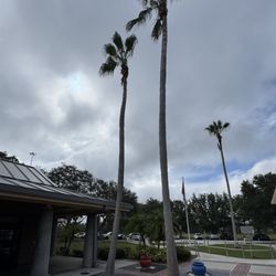 I-4 Eastbound Rest Area - I love the symmetry & colored pots.