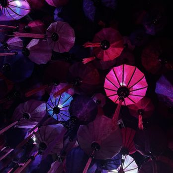 Ten Sushi - Ceiling - Sushi Bars Near Me - Dallas, Texas Ten Sushi - Ceiling - Sushi Bars Near Me - Dallas, Texas