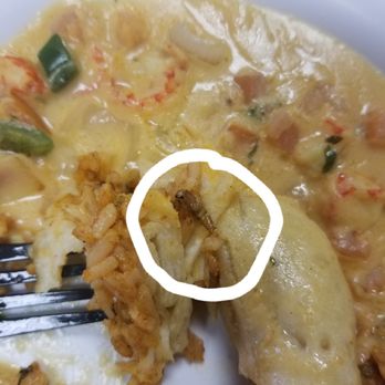 Louisiana Fish House - Roach in the food - Cajun/Creole Near Me - Pinehurst, Texas