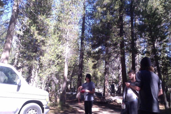 Tioga Rd by null