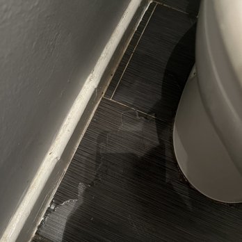 Entourage Property Management - Toilet leaking. - Property Management Near Me Entourage Property Management - Toilet leaking. - Property Management Near Me