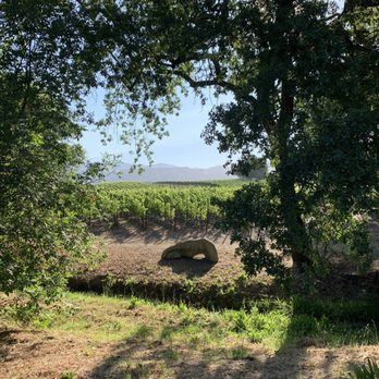 Starlite Vineyards - Starlite Vineyards - Wineries Near Me - Geyserville, California Starlite Vineyards - Starlite Vineyards - Wineries Near Me - Geyserville, California