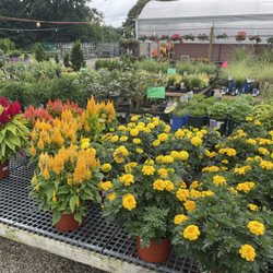 McCue Garden Center