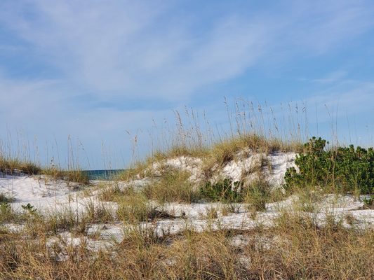 Bean Point Beach by null