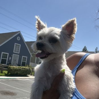 Pit Stop Pet Spa - After grooming - Pet Groomers Near Me