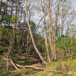 Beaver Lake Bird Sanctuary