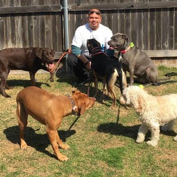 Mr. Pit Dog Services - Pet Boarding Near Me - The Colony, Texas Mr. Pit Dog Services - Pet Boarding Near Me - The Colony, Texas