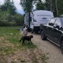 Photo of Riverwood RV Resort