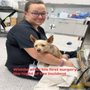 Photo of Tricounty Veterinary Emergency Clinic