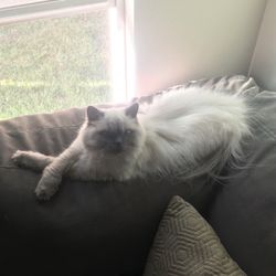 FM 685 Animal Hospital - She's my life. Thank you