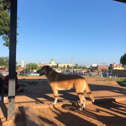 Midtown Mutts Dog Park