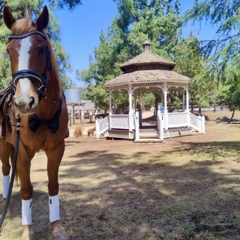 Olivewood Acres - Horse Boarding Near Me - Alpine, California