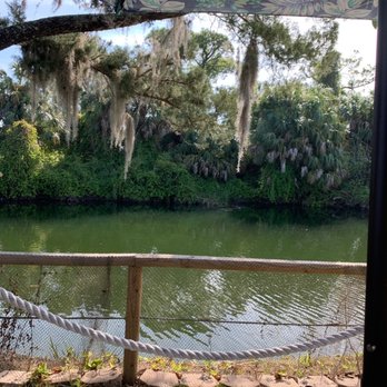 Silver Dolphin - View from outdoor dining - American Near Me - Hernando Beach, Florida