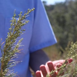 Coastal Allergy Care