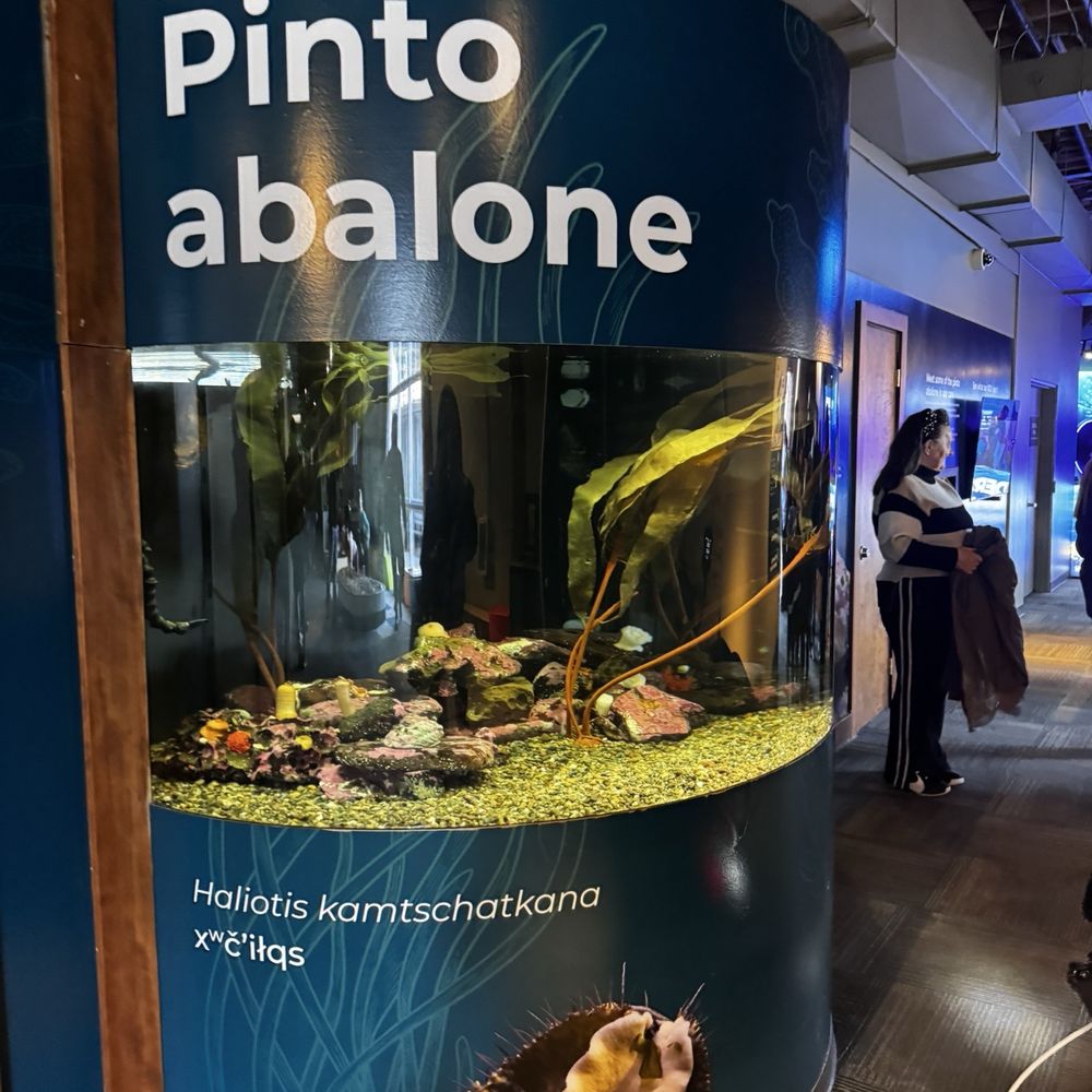 Seattle Aquarium - Aquariums Near Me - Seattle, Washington Seattle Aquarium - Aquariums Near Me - Seattle, Washington